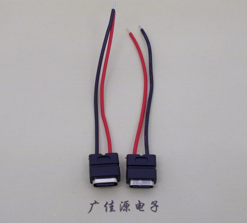 洛阳type c2p防水母座焊线式带线注塑成型带接线端子/不带接线端子充电连接器